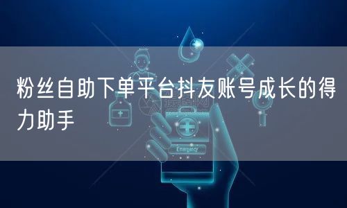 粉丝自助下单平台抖友账号成长的得力助手