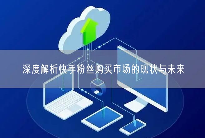 深度解析快手粉丝购买市场的现状与未来