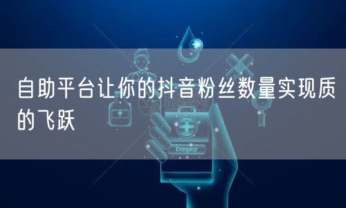 自助平台让你的抖音粉丝数量实现质的飞跃