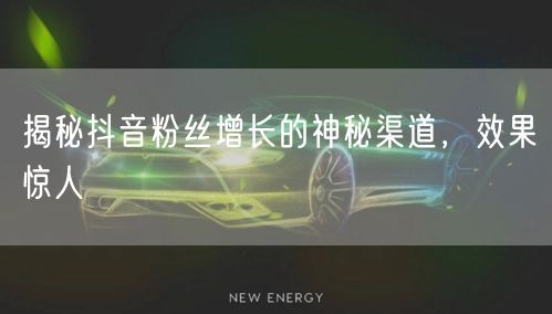 揭秘抖音粉丝增长的神秘渠道，效果惊人