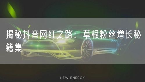 揭秘抖音网红之路：草根粉丝增长秘籍集